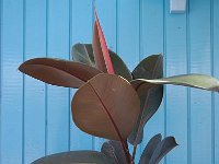 file0029