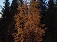 file0036