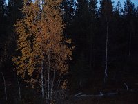 file0037