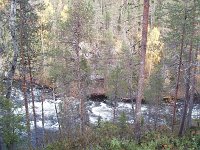 file0044