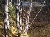 file0062