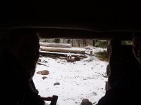 file0081