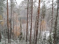 file0091