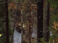 file0107