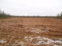 file0110