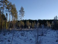 file0009