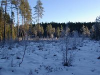 file0010