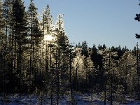 file0031
