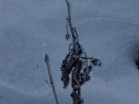 file0036