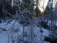 file0038