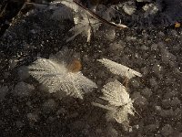 file0046