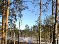 file0055