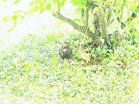 file0090
