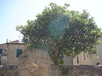 file0106