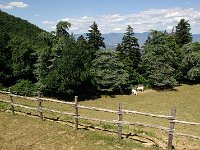 file0154