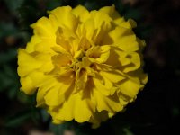 20081322