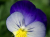 20081324