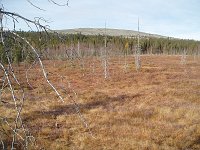 PA010001