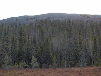 PA011476