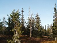 PA030052