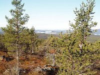 PA030059