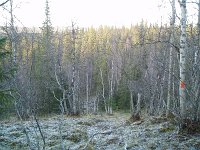 PA040075