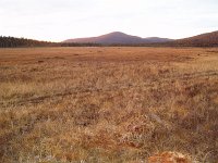 PA040077