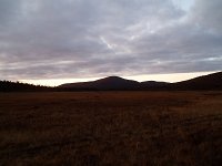 PA040079