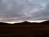 PA040081
