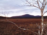 PA040084
