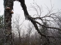 PA040091