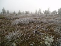 PA040096
