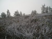 PA040097