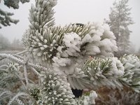 PA040099