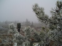 PA040101