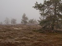 PA041618