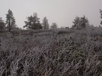 PA041620