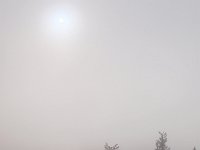 PA041621