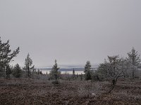 PA041628