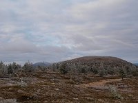 PA041633