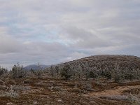 PA041634