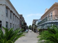 IMG 0247