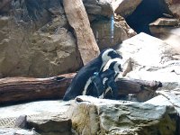 IMG 0303