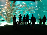 IMG 0341