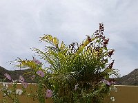 IMGP3670