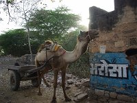IMGP3797