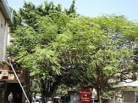 IMG 0647