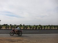 IMG 0729