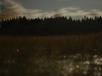 IMGP4043