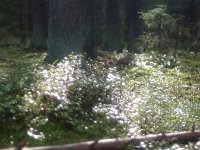 IMGP4086
